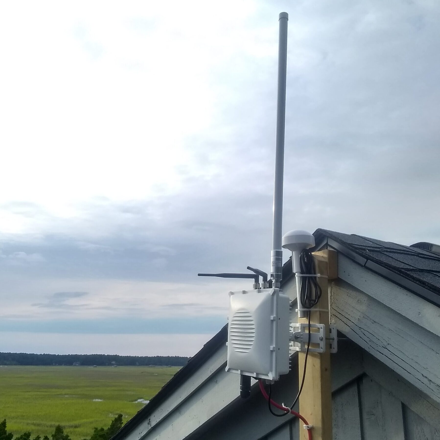 Your Ideas for the Wildlife Movement Community