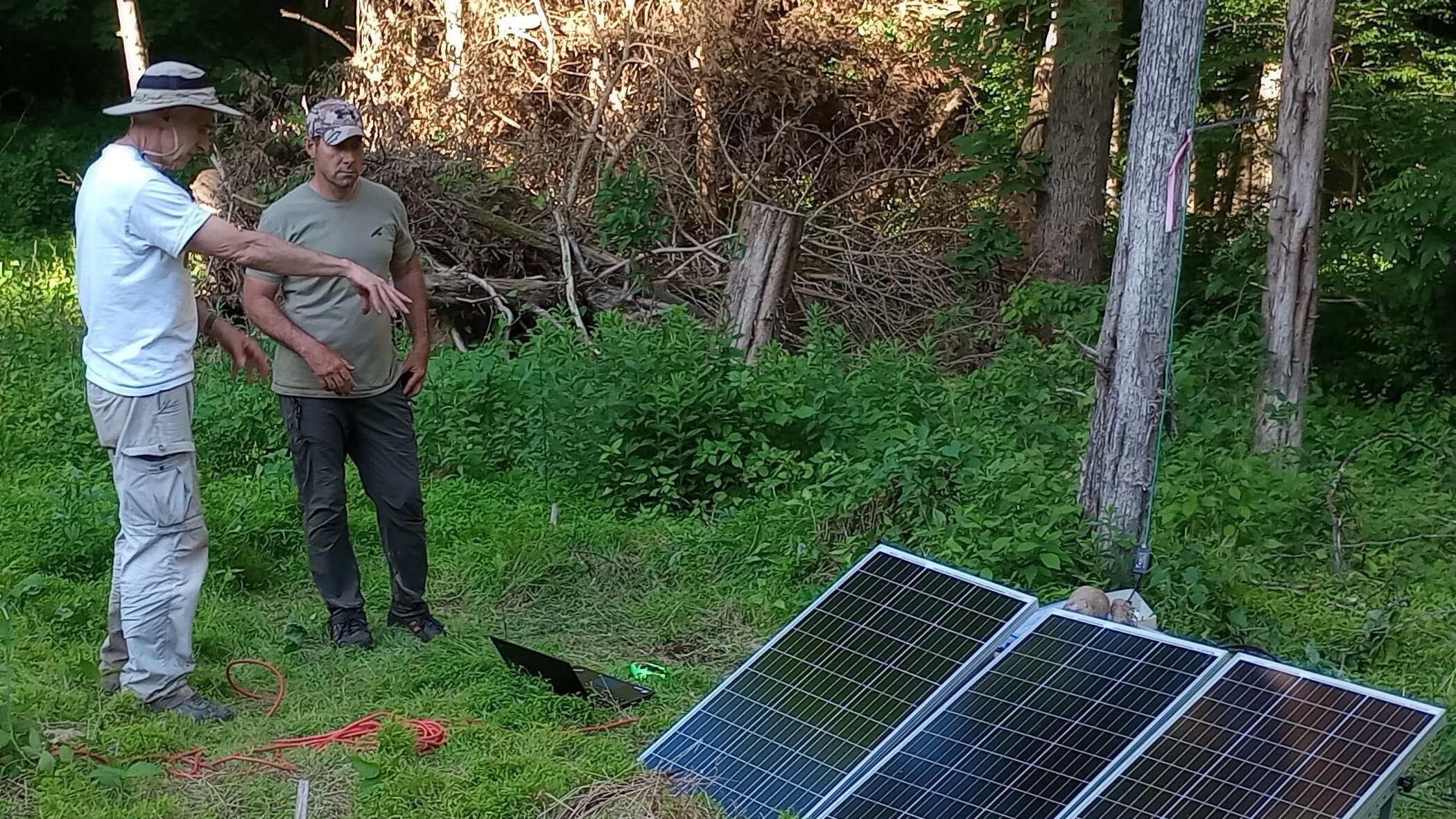 Wildlife Study Design